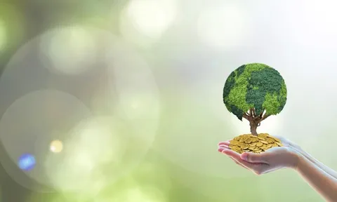 Nhận định thị trường phiên giao dịch chứng khoán ngày 23/11: Chủ động chốt lời từng phần