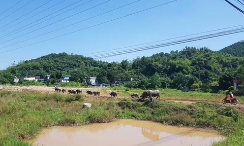 Dự án Khu đô thị mới Trung Minh A: Khách hàng gặp rủi ro khi ký 'Hợp đồng đảm bảo quyền mua'?