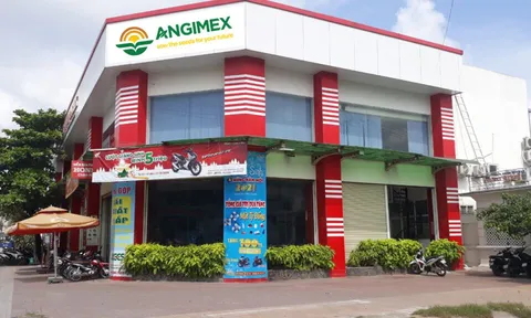 Kinh doanh đình trệ sau khi ông Đỗ Thành Nhân bị bắt, Angimex (AGM) xin lùi trả lãi lô trái phiếu 350 tỷ đồng