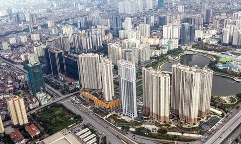 Lựa chọn cho trái chủ khi doanh nghiệp bất động sản mất khả năng thanh toán