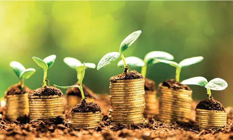 Pháp mong muốn hỗ trợ Việt Nam phát hành trái phiếu xanh