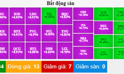 Nhịp đập Thị trường 01/12: Hàng loạt cổ phiếu bất động sản tăng trần