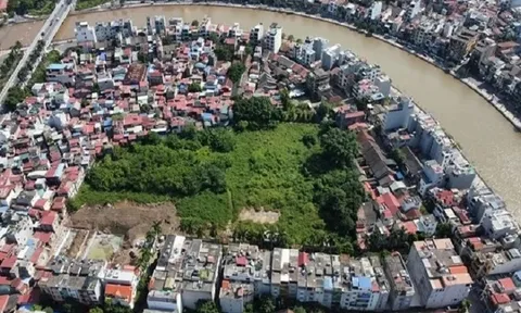 Hải Phòng: Doanh nghiệp 2 tháng tuổi trúng đấu giá 'đất vàng' hơn 323,5 tỷ