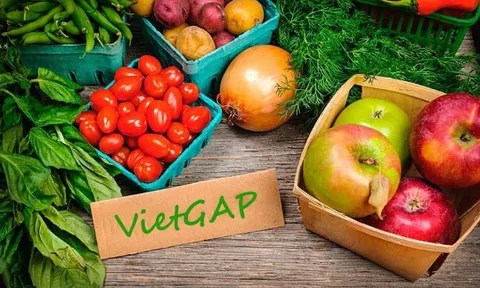 Từ vụ lùm xùm rau VietGap: Tổ chức chứng nhận có nghĩa vụ gì?