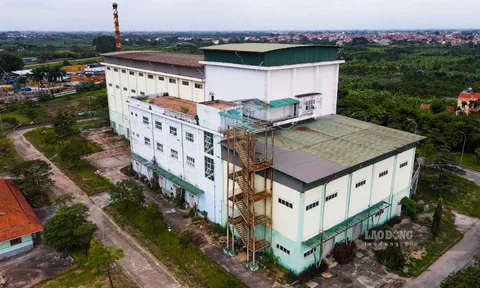 Cận cảnh nhà máy rác trăm tỉ bỏ hoang giữa Hà Nội
