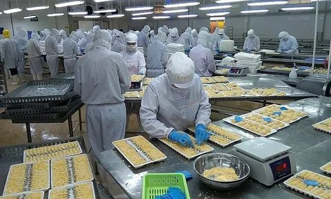 Camimex Group phát hành trái phiếu, lấy vốn mua nguyên liệu