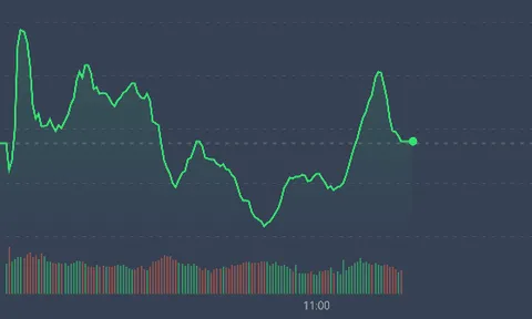 Nhịp đập Thị trường 08/12: Nhóm chứng khoán trần hàng loạt