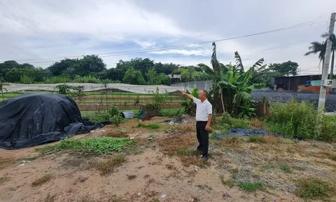 TP.HCM: Vì sao Doanh nghiệp "tố" Chi cục THADS Củ Chi bán đất đấu giá trái quy định?