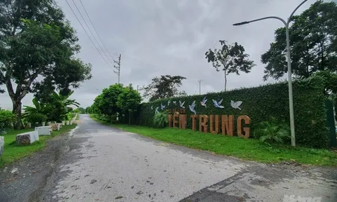 Xây 'chui' khu du lịch trên đất nông nghiệp, tỉnh vẫn ủng hộ?