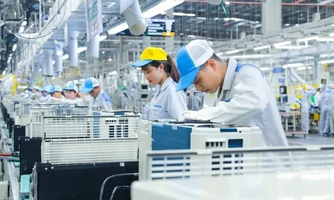'Mùa đông giá lạnh' của các doanh nghiệp