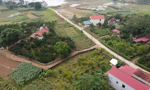 Đất nền và biệt thự thất sủng, nhà phố lên ngôi?