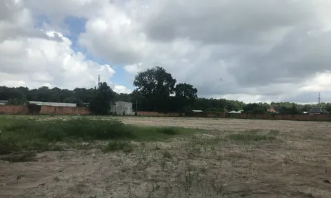 Khu căn hộ Diamond Tower của Nam Nghinh Phong: Rao bán dự án khi vẫn là bãi đất trống