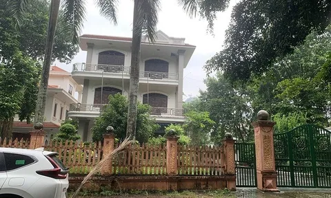 Kinh doanh ‘bết bát’, Công ty Bích Động vẫn trúng nhiều gói thầu lớn tại Ninh Bình