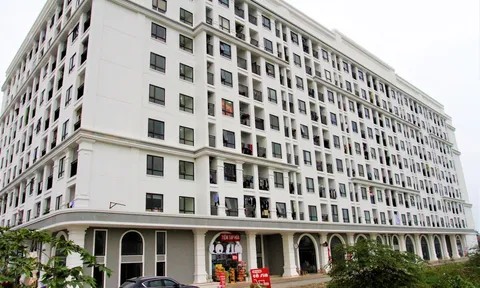 Căn hộ chung cư Aranya ở TP. Huế kém chất lượng khiến cư dân bức xúc