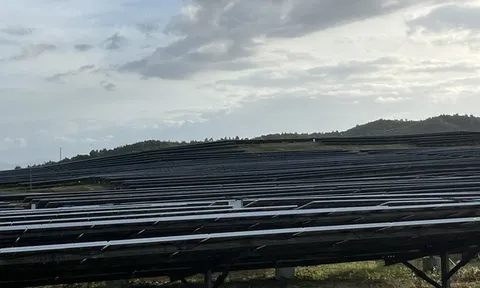 Phát lộ hàng trăm dự án điện mặt trời tại Khánh Hoà, Ninh Thuận dính sai phạm