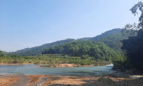 Tập đoàn GFS: Gây lãng phí tài nguyên, trách nhiệm thuộc về ai?