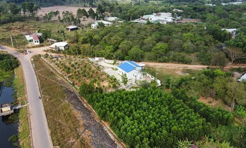 Đồng Nai: Đồi bị xẻ cùng nhiều công trình 'mọc lên' trên đất nông nghiệp ở Xuân Lộc