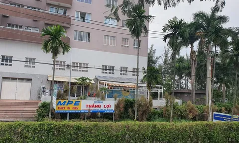 Biển tên cơ sở giáo dục mầm non: Cứ 'Montessori', 'tinh hoa Nhật Bản'...