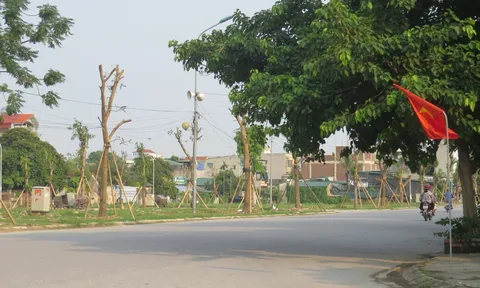 Thanh Hóa: Hoàng Gia Group TH vẫn chưa nộp đủ tiền trúng đấu giá dự án Khu dân cư Bắc cầu Sâng