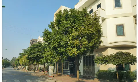Bài 1: Ai 'băm nát' quy hoạch, biến đất trường học bị thành đất ở tại Hải Dương?