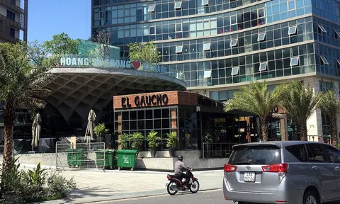 Công ty Bạch Đằng: Vốn 450 tỷ, kế hoạch chi 27.000 tỷ khôi phục tuyến đường sắt răng cưa duy nhất tại Việt Nam