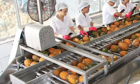 Afiex (AFX) thâm hụt vốn kéo dài