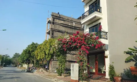 Việc chuyển đổi mục đích sử dụng đất tại khu đô thị Đỉnh Long có đúng luật?