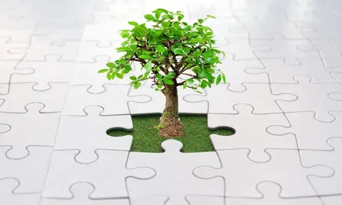 Nhận định thị trường phiên giao dịch chứng khoán ngày 12/1: Cơ hội vẫn đến ở các cổ phiếu đơn lẻ