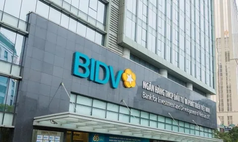 BIDV đại hạ giá khoản nợ của Thép Việt Nhật sau hàng chục lần thất bại