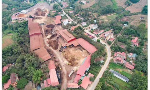 Sống khổ bên nhà máy chế biến gỗ