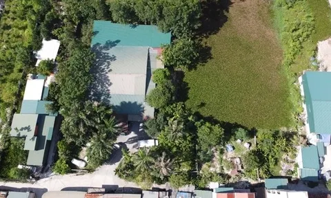 Thành phố Hà Nội: Vi phạm đất đai vẫn kéo dài dù lãnh đạo huyện bị tố cáo