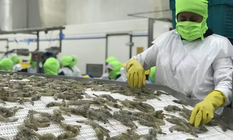 Thương mại Việt Nam- Hàn Quốc tăng thêm gần 9 tỷ USD