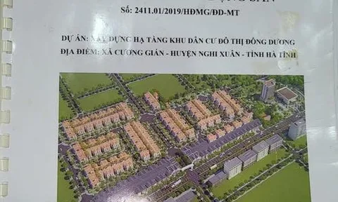 CTCP Đầu tư Xây dựng và Phát triển Đông Dương cố chây ỳ, chưa chịu tất toán hoa hồng cho đại lý?