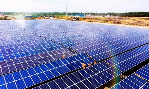 Doanh thu tài chính giảm mạnh, Bamboo Capital báo lỗ quý 4 gần 339 tỷ đồng