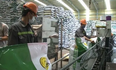 Quý 4/2022, lợi nhuận của Phân bón Bình Điền giảm gần 80% so với cùng kỳ