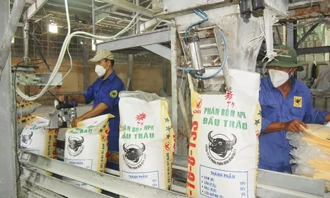 Tăng trưởng âm quý IV, Phân bón Bình Điền vẫn vượt kế hoạch lợi nhuận năm 2022