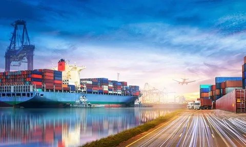 Xuất khẩu nhiều mặt hàng giảm hơn 30% trong tháng 1