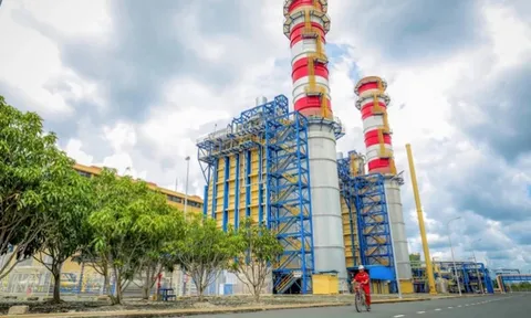 Cổ phiếu khuyến nghị hôm nay (30/1): POW, VHC và QTP