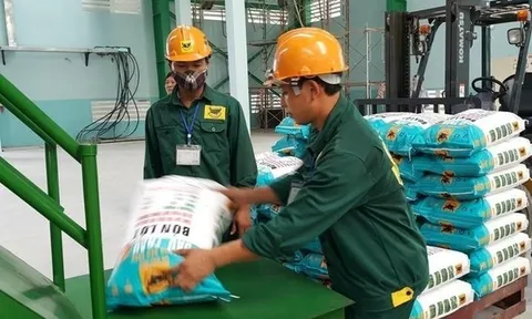 Tỷ lệ trả cổ tức cao có thể hãm đà giảm giá cổ phiếu phân bón