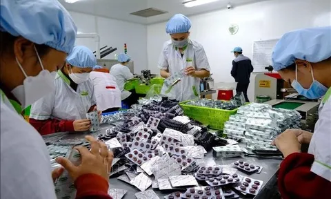 Chuyên gia hé lộ những cổ phiếu y dược đáng đầu tư trong 2023