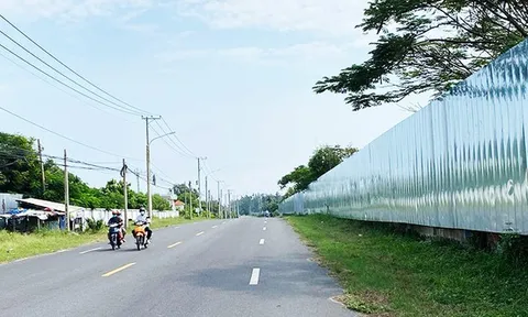 Rà soát pháp lý khu đất đấu giá gần 74 nghìn m2 ở Bà Rịa- Vũng Tàu