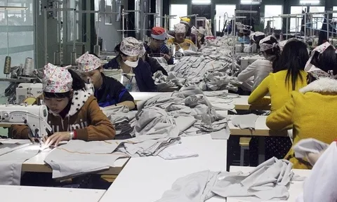 Nghệ An chỉ số sản xuất công nghiệp tháng 1/2023 ước tính tăng 8,50%