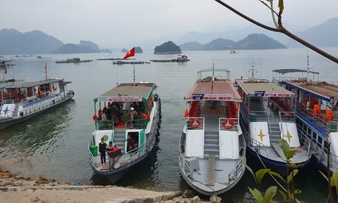 Hòa Bình: Thu tiền gấp 5 lần giá niêm yết tại bến Cảng Thung Nai?