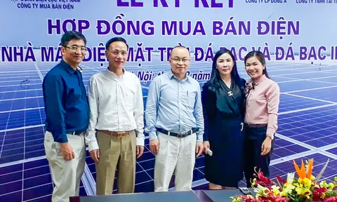 Phát Đạt Corporation có liên quan tới khu đất đang bị tỉnh BR-VT kiểm tra pháp lý?