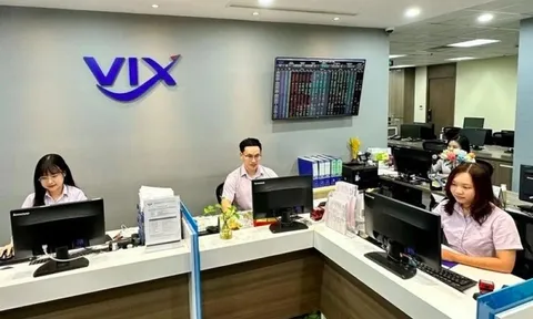 Chị gái Tổng giám đốc Gelex nộp đơn từ nhiệm Chủ tịch Chứng khoán VIX