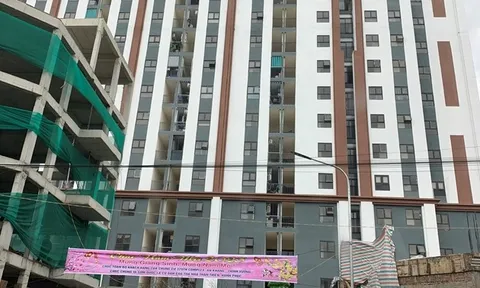 Tiếp tục đình chỉ hoat động nhà ở xã hội của Công ty 379