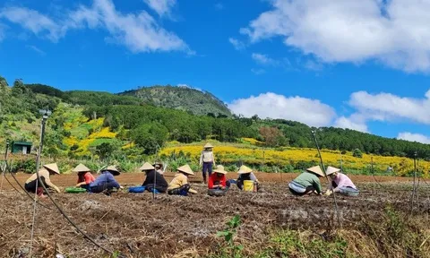Tân Thành Holdings dừng dự án Khu đô thị Giáo dục Khoa học Núi Voi quy mô 700ha