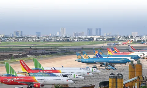 Lên phương án xử lý các hãng bay không còn đáp ứng đủ điều kiện