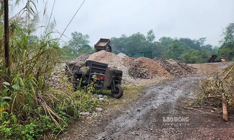 Công ty Mangan Cao Bằng tiếp tục bị tố xâm phạm đất của nhiều hộ dân