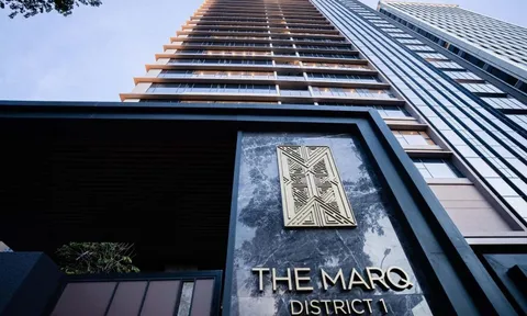 Soi sức khoẻ tài chính của Tập đoàn Hoa Lâm